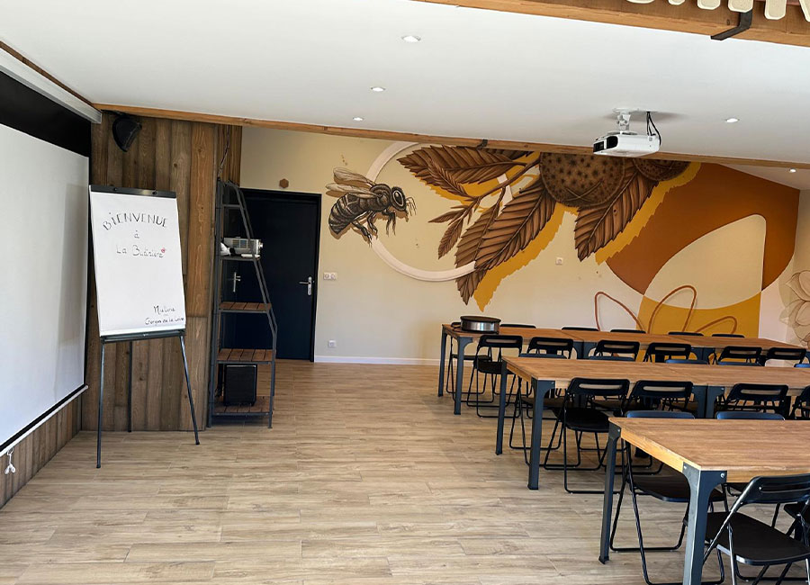 La butinière - Équipement complet, Vidéoprojecteur, écran 3x2m, Wi-Fi, climatisation, coin café